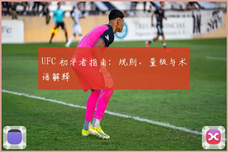 UFC 初学者指南：规则、量级与术语解释