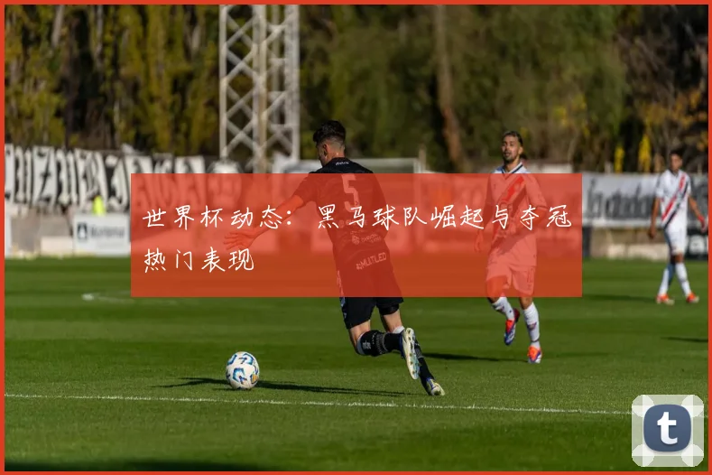 世界杯动态：黑马球队崛起与夺冠热门表现