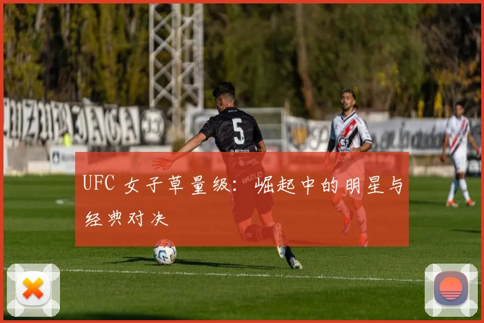 UFC 女子草量级：崛起中的明星与经典对决